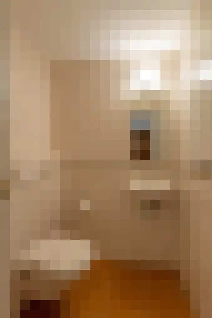 Wilbertsheem 8 Waalre thumbnail 21