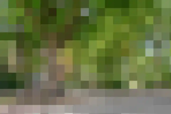 Wilbertsheem 8 Waalre thumbnail 28