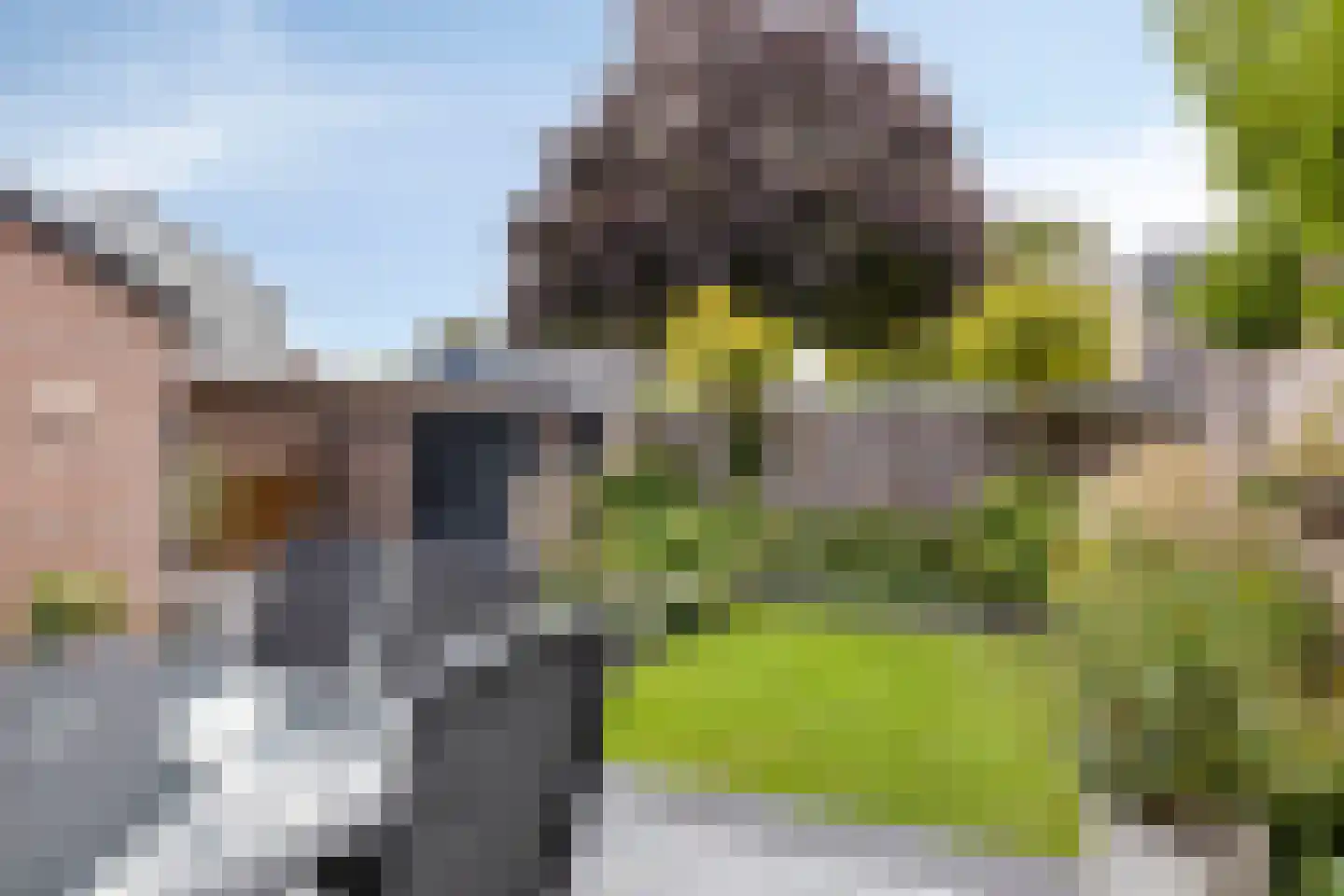 Wilbertshof 10 Someren thumbnail 48