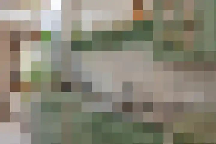 Wilbertstraat 13 Hengelo thumbnail 16