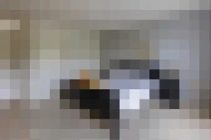 Wilbrennincklaan 5 Arnhem thumbnail 24