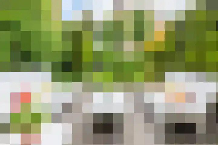 Wilbrennincklaan 5 Arnhem thumbnail 29