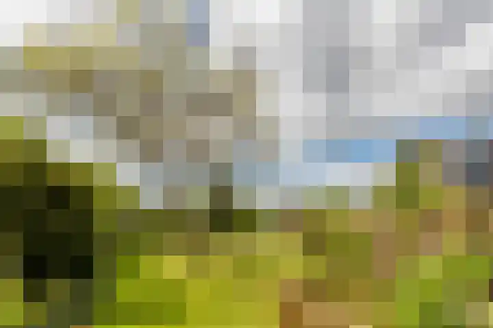 Wilbrennincklaan 5 Arnhem thumbnail 31