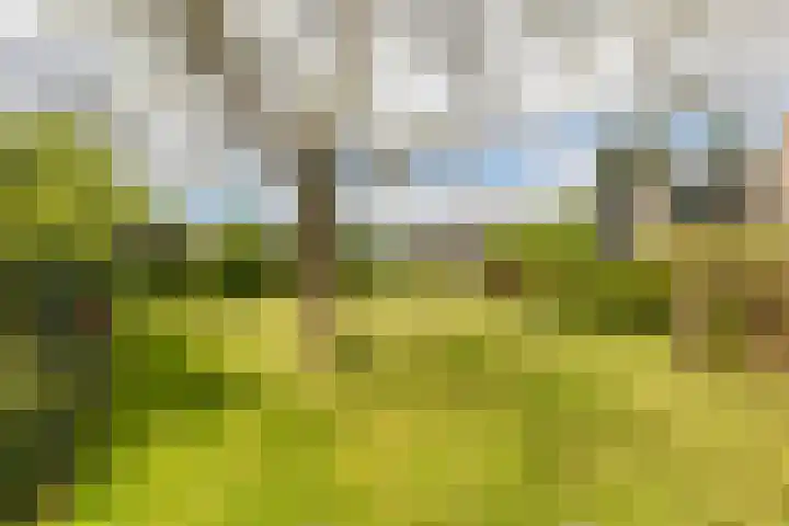 Wilbrennincklaan 5 Arnhem thumbnail 32