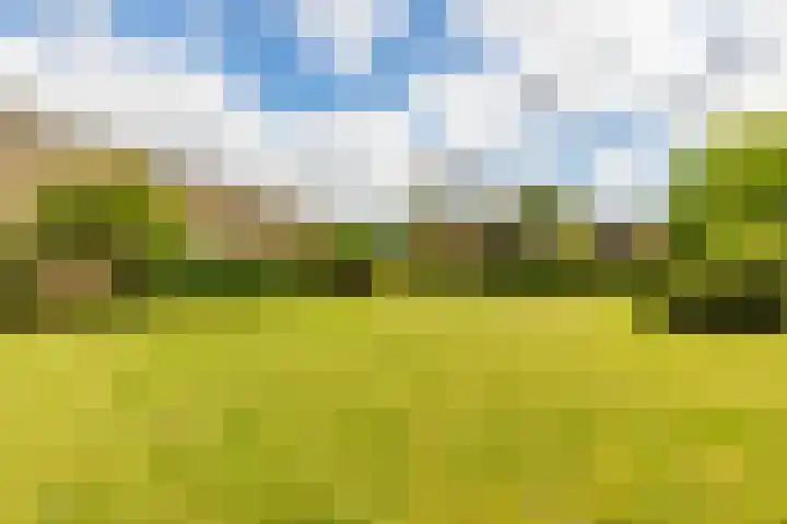 Wilbrennincklaan 5 Arnhem thumbnail 33