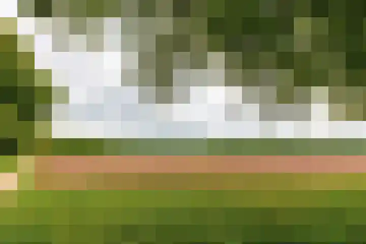 Wilbrennincklaan 5 Arnhem thumbnail 37