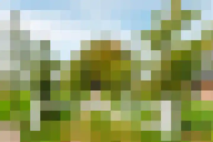 Wilbrennincklaan 5 Arnhem thumbnail 38
