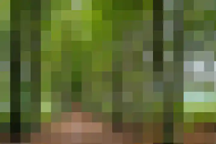 Wilbrennincklaan 5 Arnhem thumbnail 39