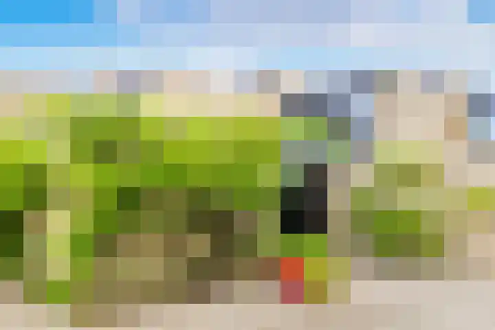 Wilbrennincklaan 5 Arnhem thumbnail 4