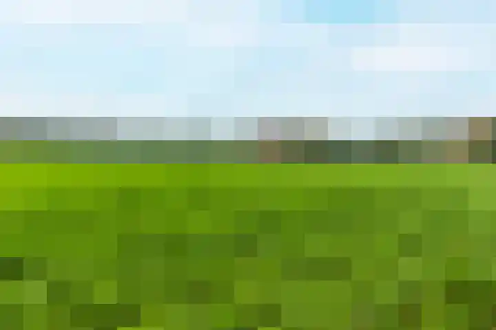 Wilbrennincklaan 5 Arnhem thumbnail 40