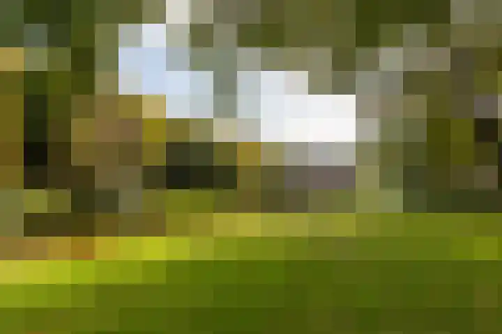 Wilbrennincklaan 5 Arnhem thumbnail 41