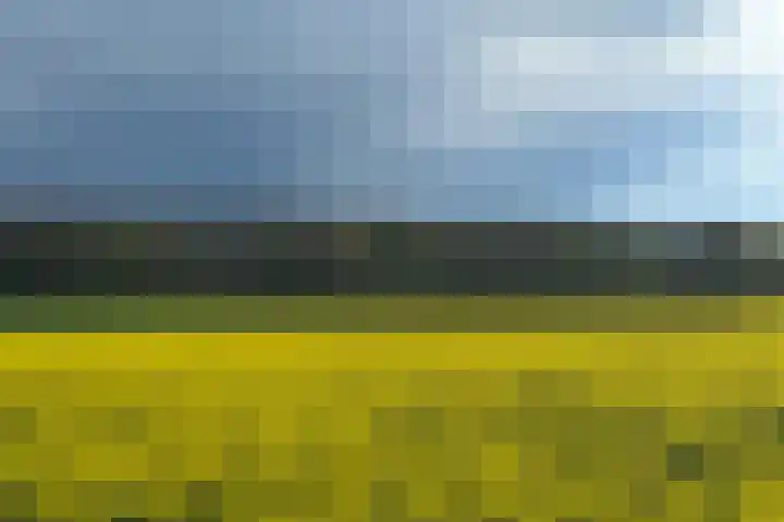 Wilbrennincklaan 5 Arnhem thumbnail 42