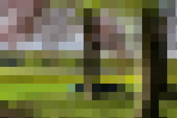 Wilbrennincklaan 5 Arnhem thumbnail 43