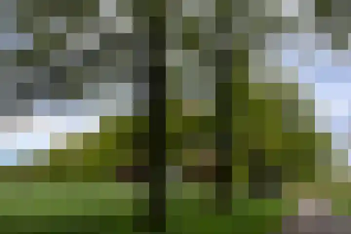 Wilbrennincklaan 5 Arnhem thumbnail 44