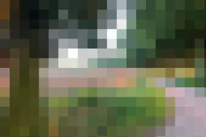 Wilbrennincklaan 5 Arnhem thumbnail 45
