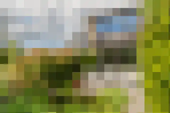 Wilbrennincklaan 5 Arnhem thumbnail 46