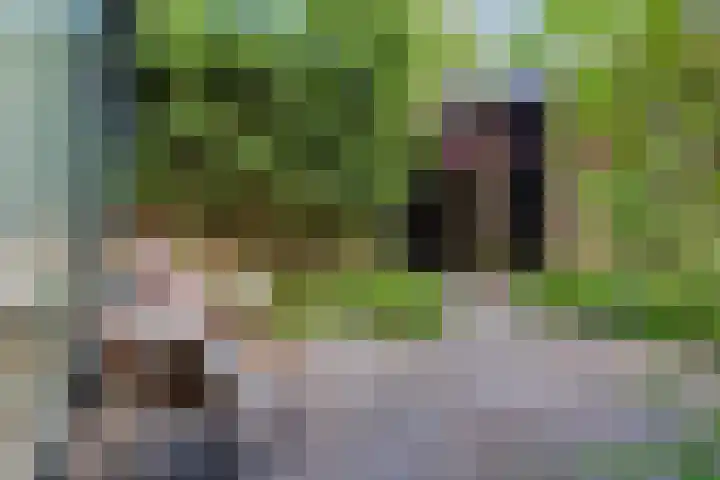 Wilbrennincklaan 5 Arnhem thumbnail 6