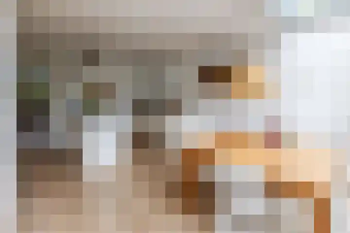 Wilbrennincklaan 5 Arnhem thumbnail 9