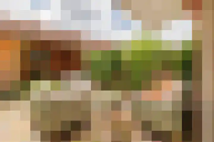 Wilbrinkbos 2 Hoofddorp thumbnail 16