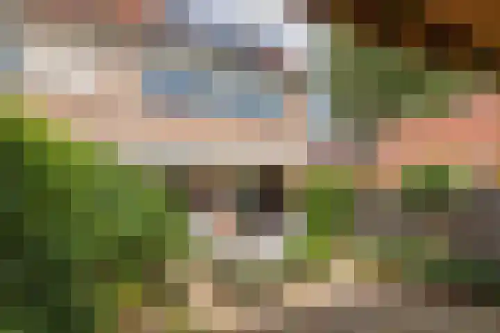 Wilbrinkbos 2 Hoofddorp thumbnail 49