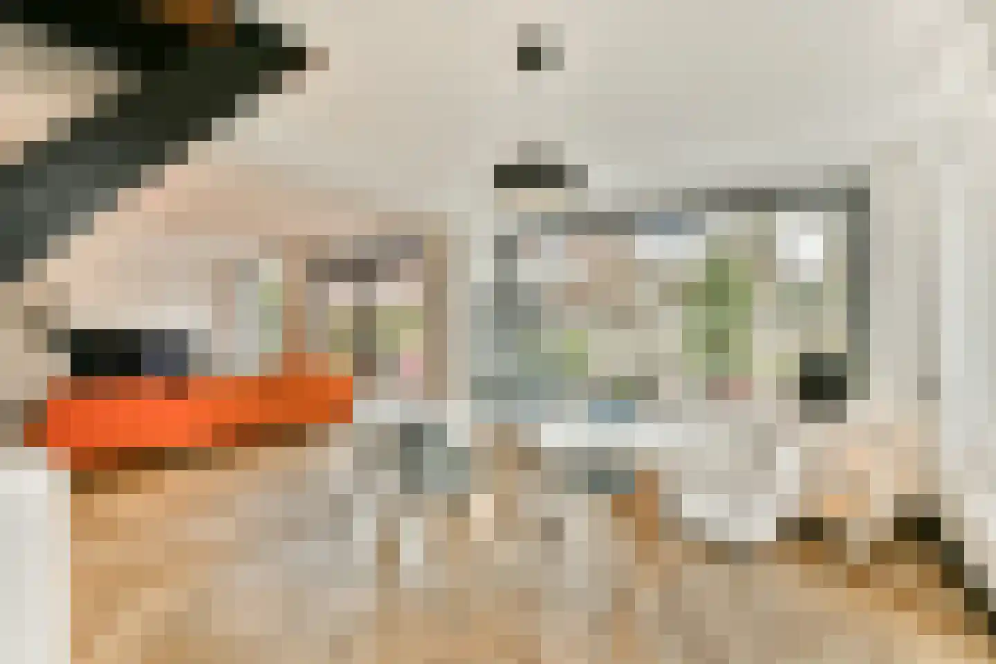 Wilbrinkbos 33 Hoofddorp thumbnail 5