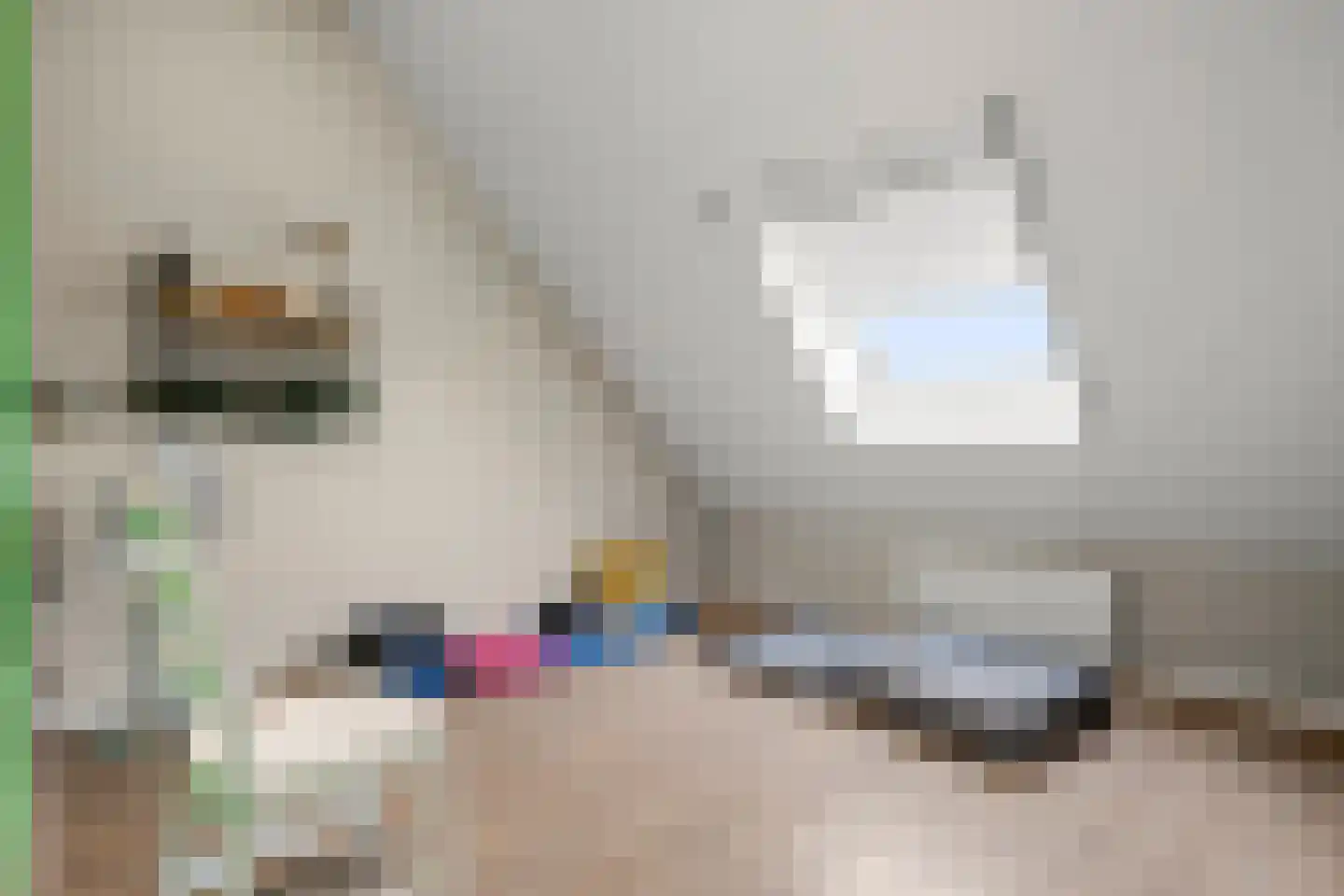 Wilbrinkstraat 11 Lunteren thumbnail 37