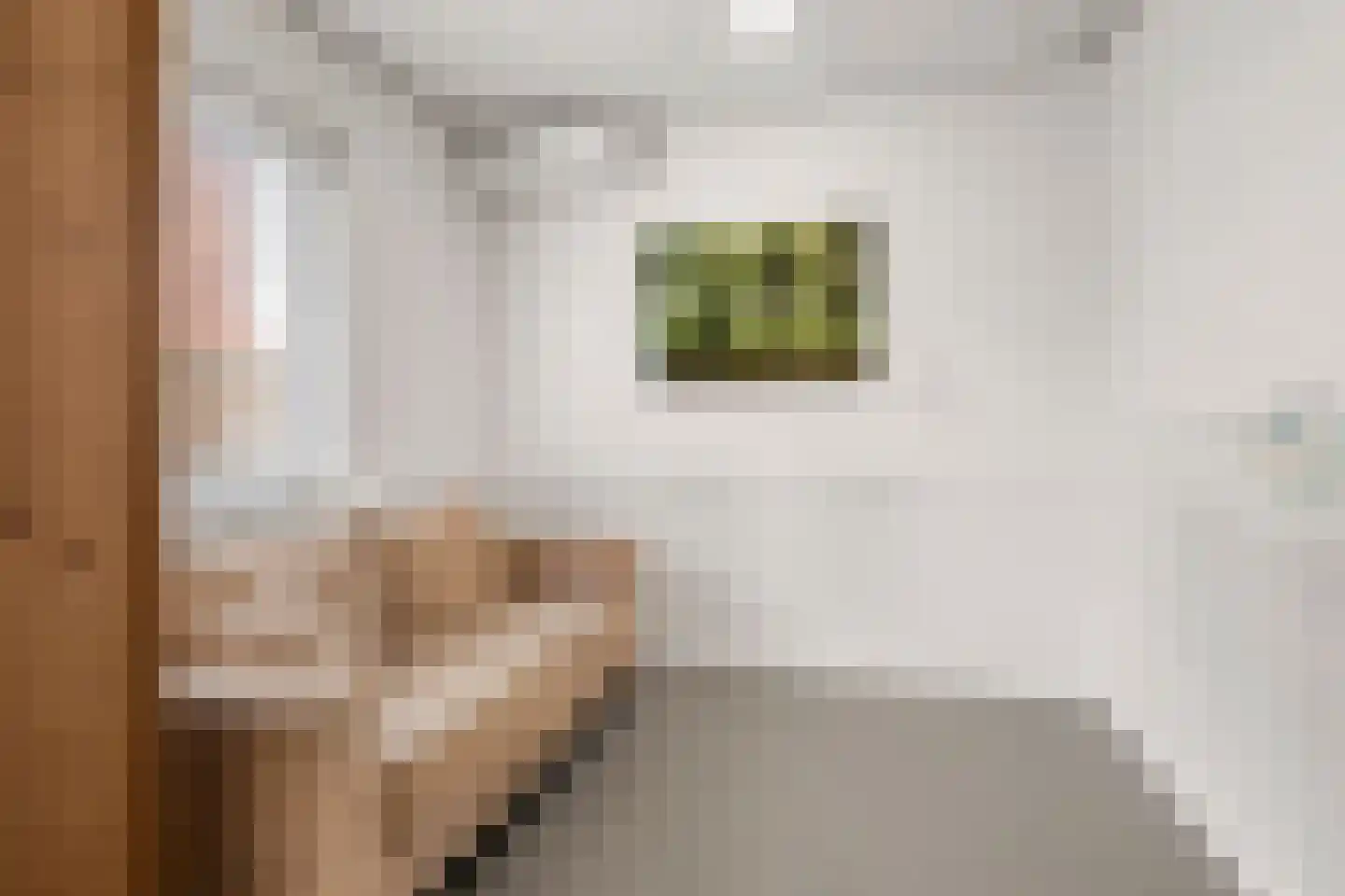 Wilbrinkstraat 11 Lunteren thumbnail 42