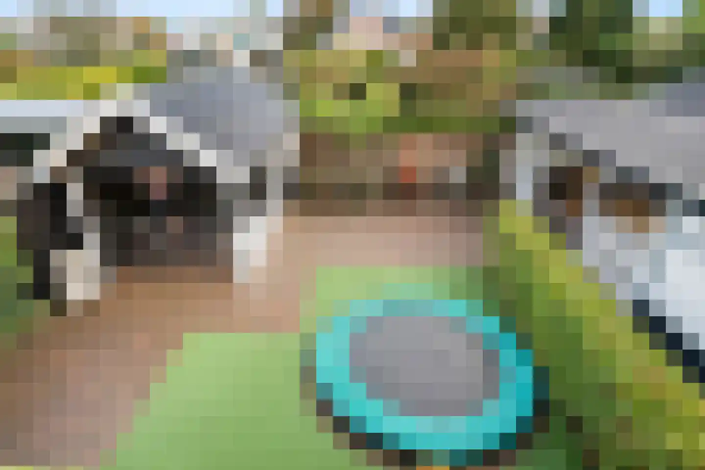 Wilbrinkstraat 11 Lunteren thumbnail 55