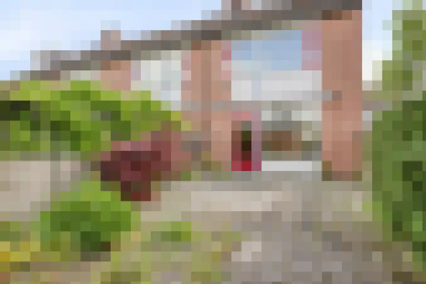 Wildbaan 1 D Rotterdam thumbnail 26