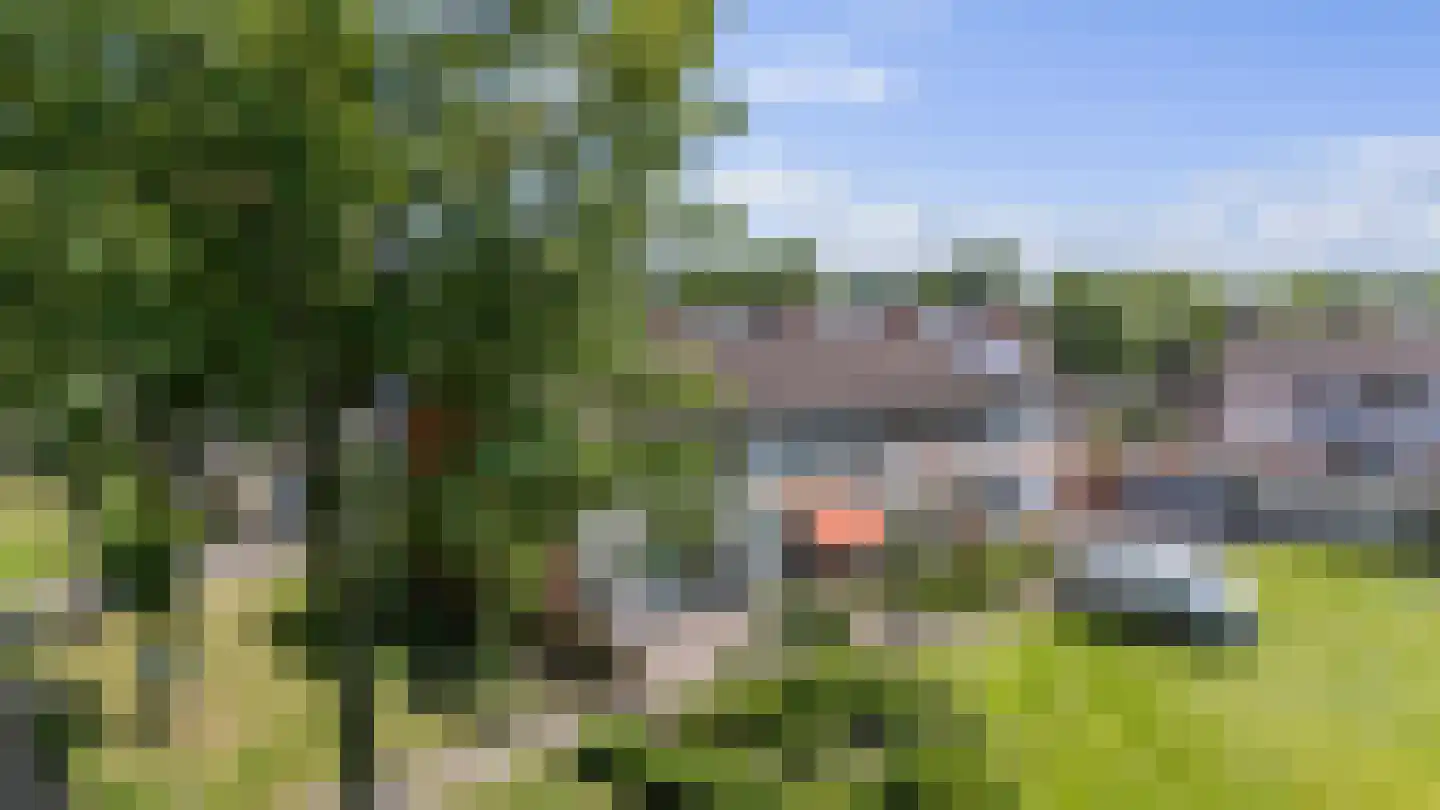 Wildbaan 1 Nieuw-Amsterdam thumbnail 29