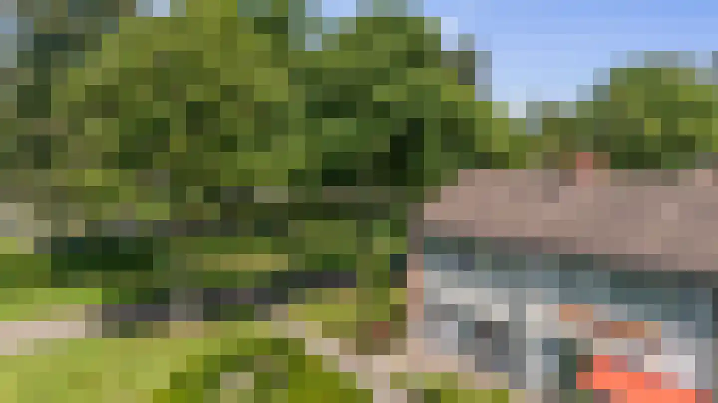 Wildbaan 1 Nieuw-Amsterdam thumbnail 30