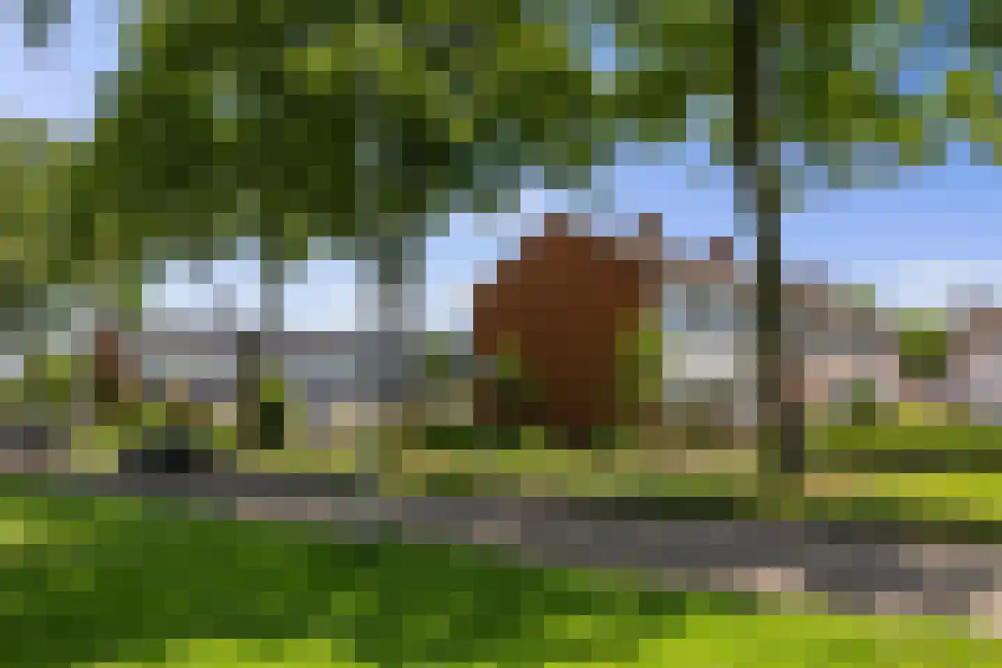 Wildbaan 1 Nieuw-Amsterdam thumbnail 32