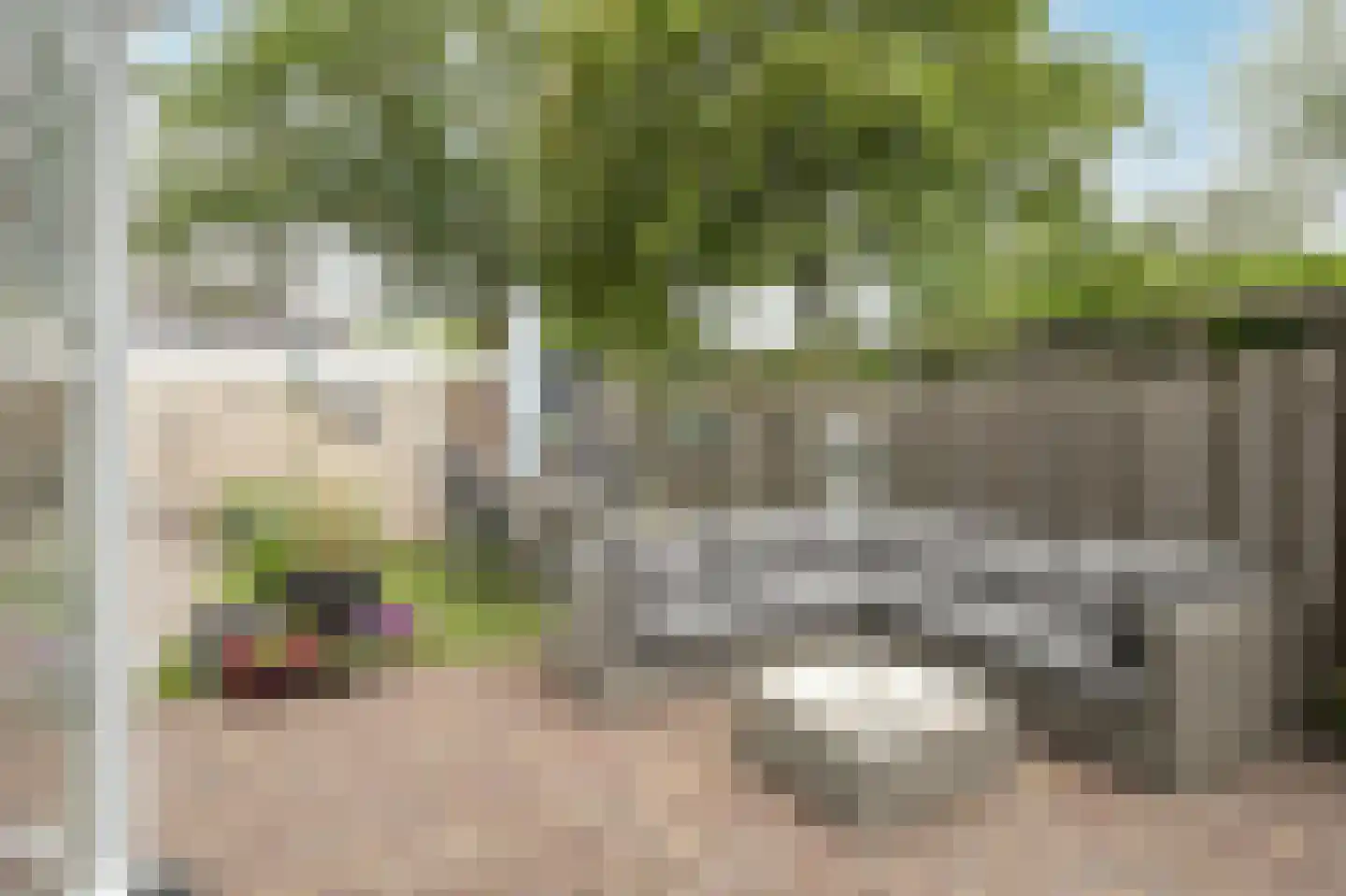 Wildbaan 103 Etten-Leur thumbnail 37