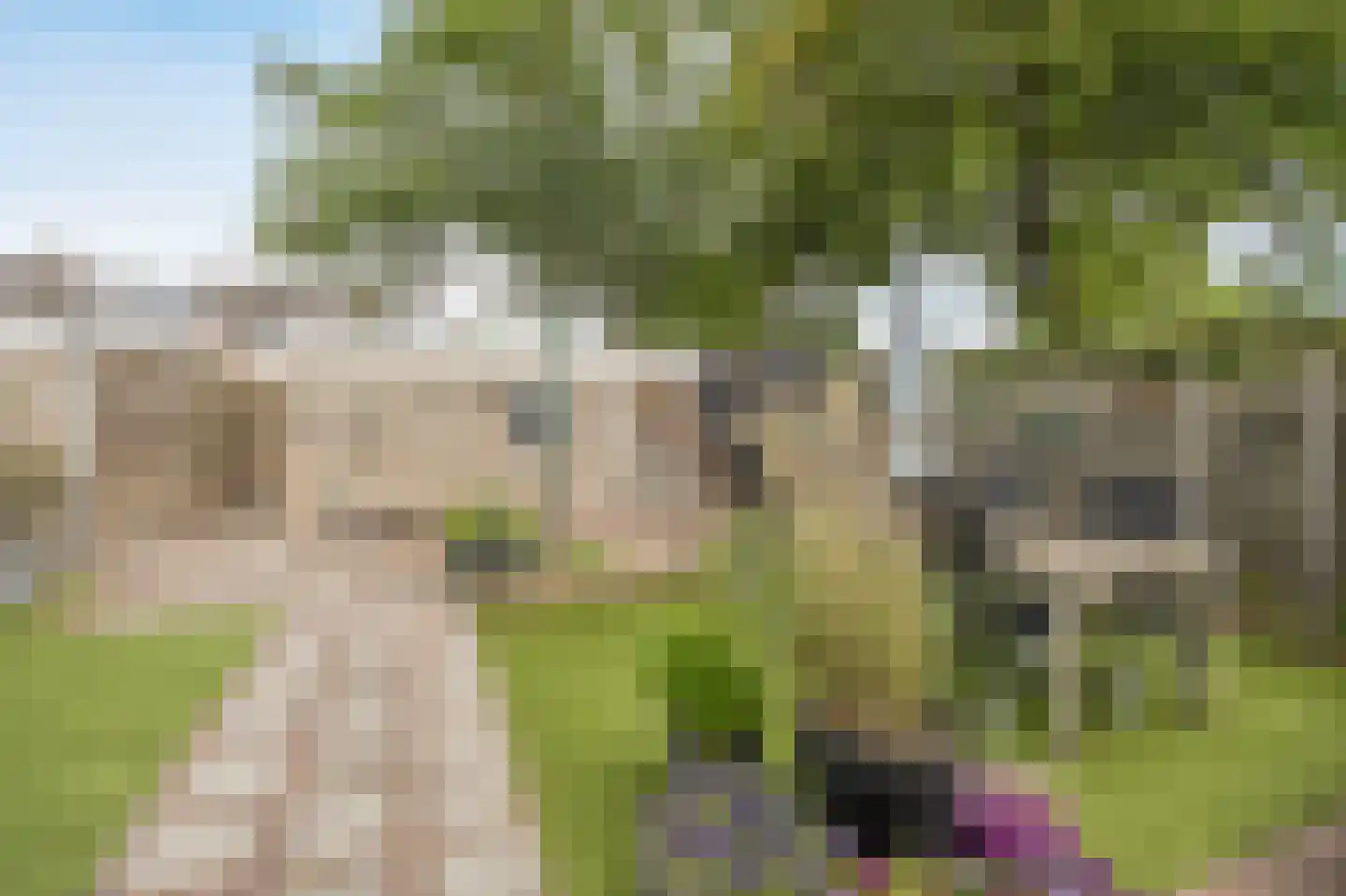 Wildbaan 103 Etten-Leur thumbnail 38