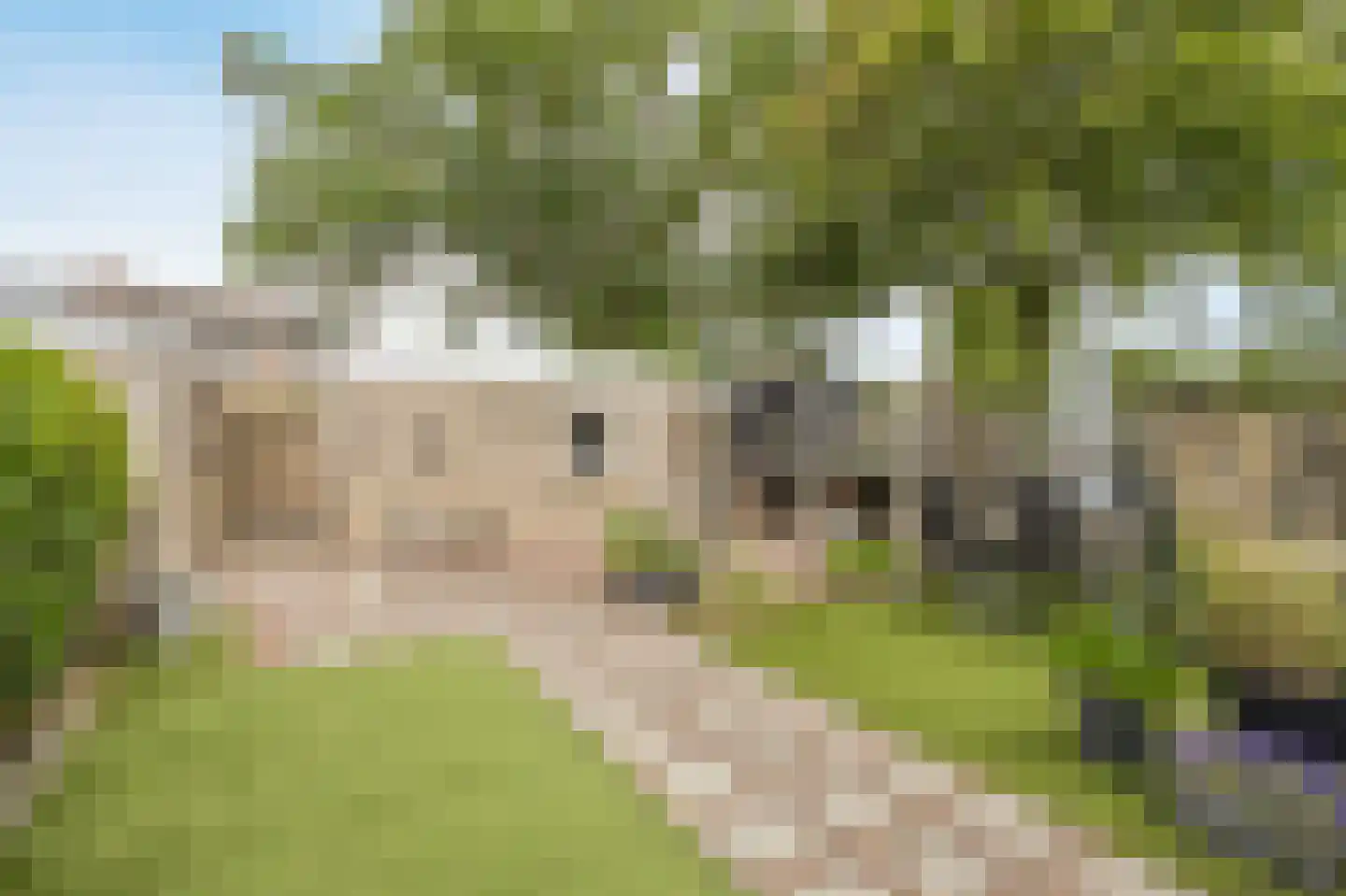 Wildbaan 103 Etten-Leur thumbnail 39