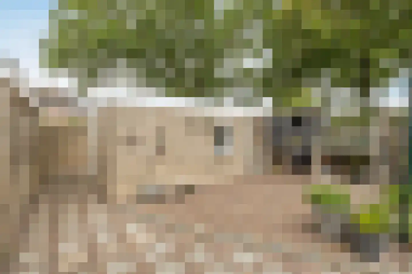 Wildbaan 103 Etten-Leur thumbnail 40