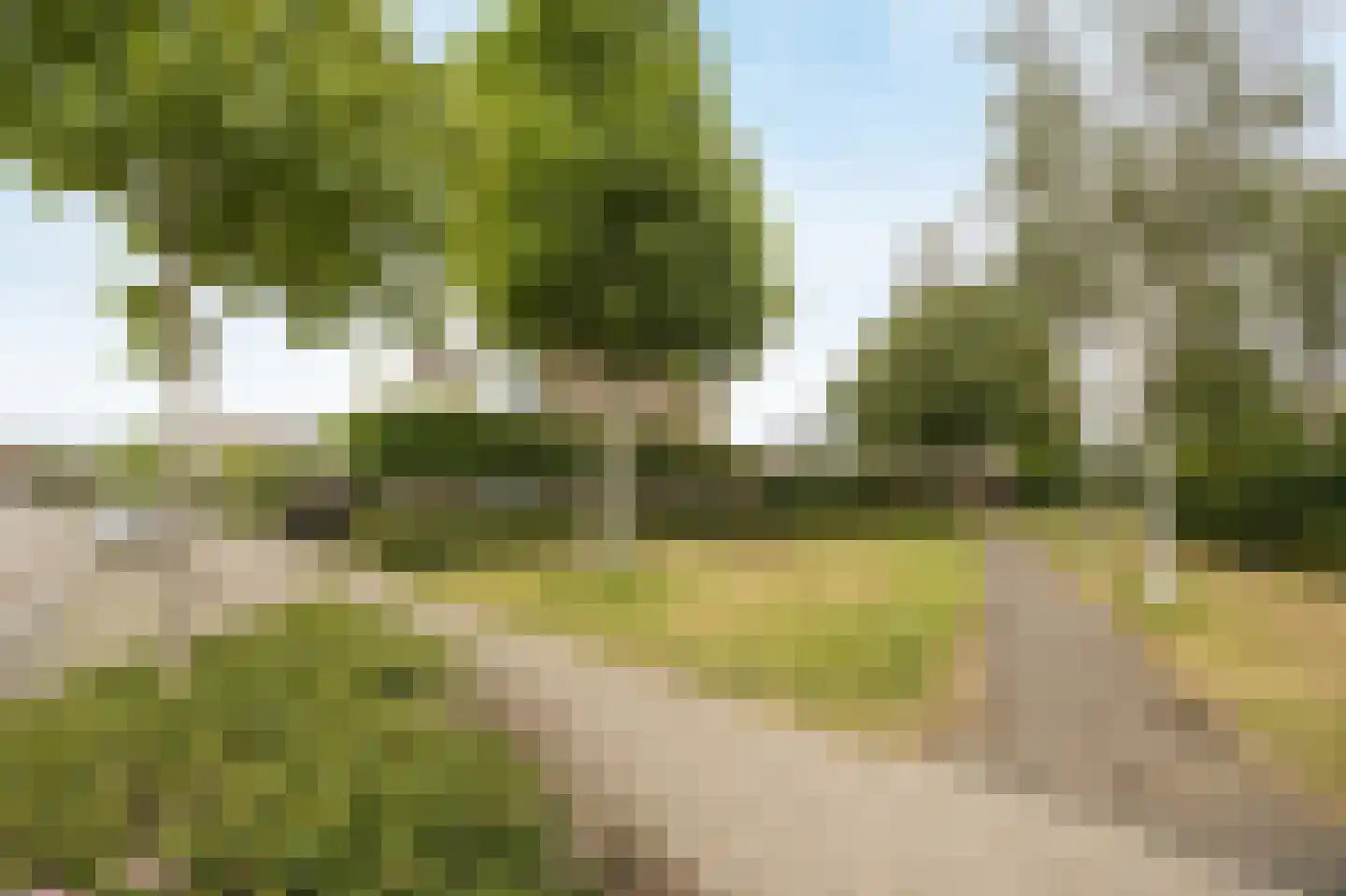 Wildbaan 103 Etten-Leur thumbnail 47