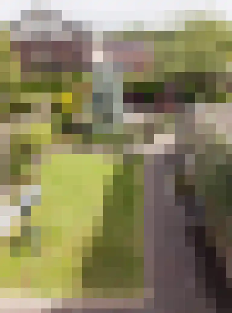 Wildbaan 113 Etten-Leur thumbnail 33