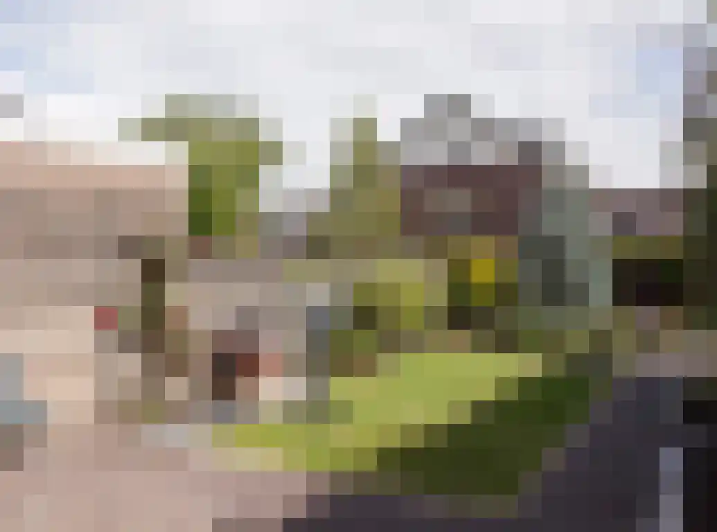 Wildbaan 113 Etten-Leur thumbnail 35