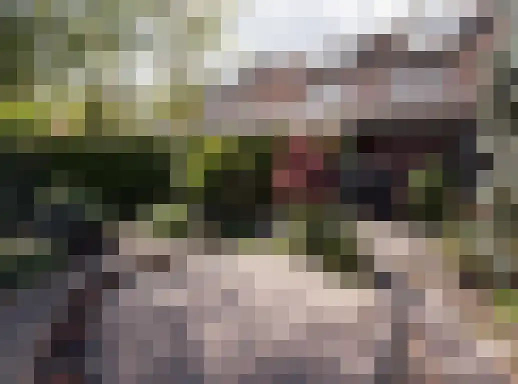 Wildbaan 113 Etten-Leur thumbnail 36