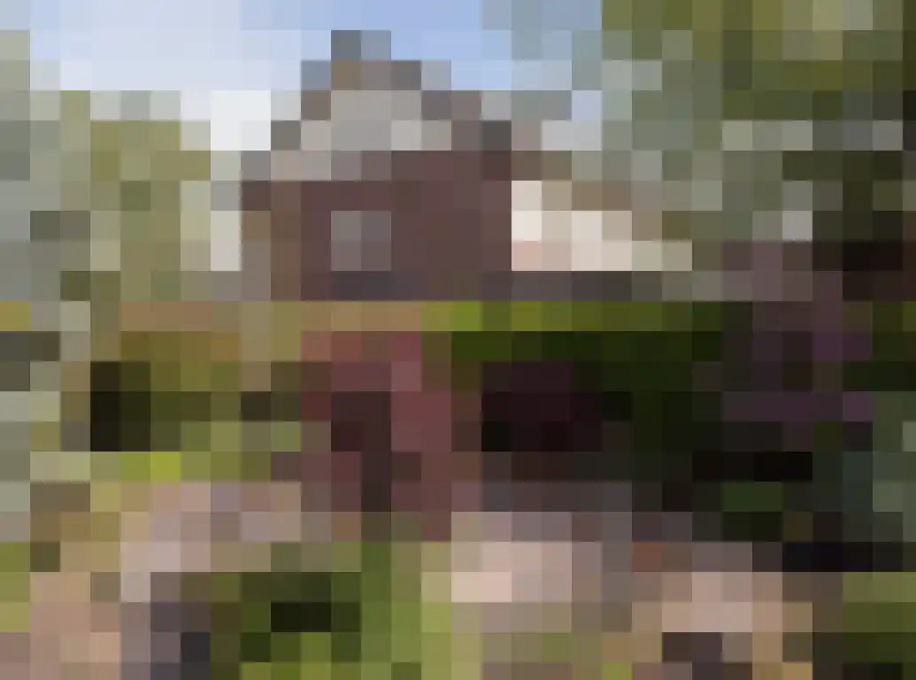 Wildbaan 113 Etten-Leur thumbnail 37