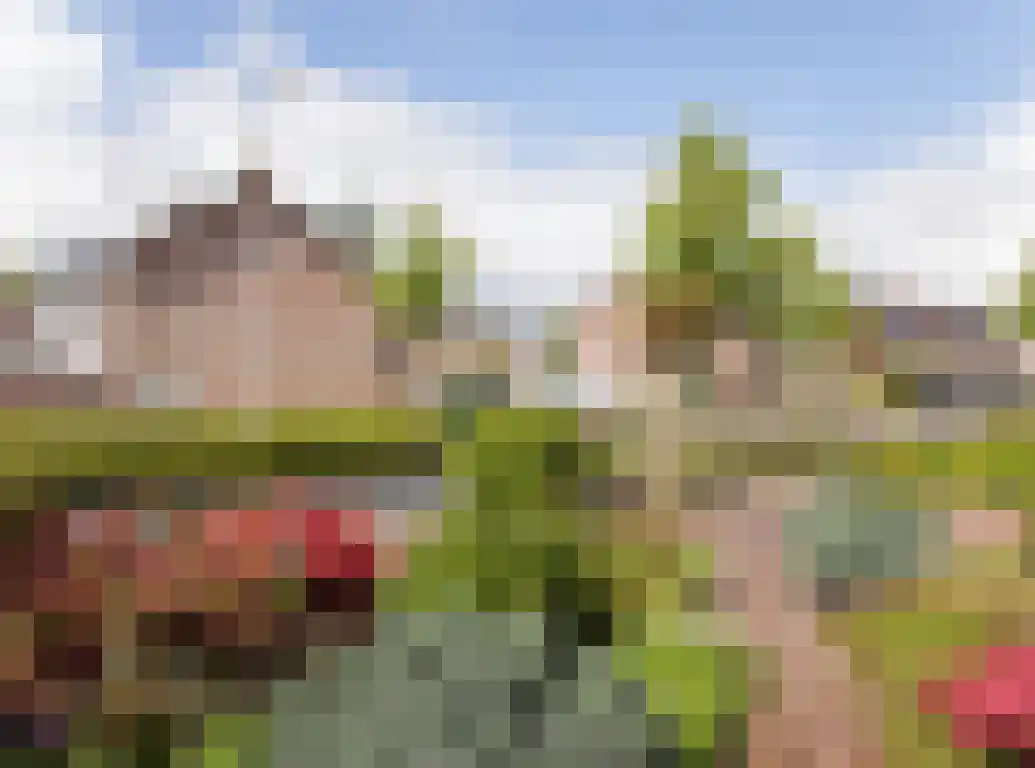 Wildbaan 113 Etten-Leur thumbnail 39