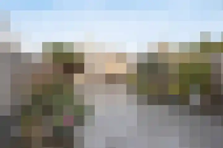 Wildbaan 120 Etten-Leur thumbnail 32