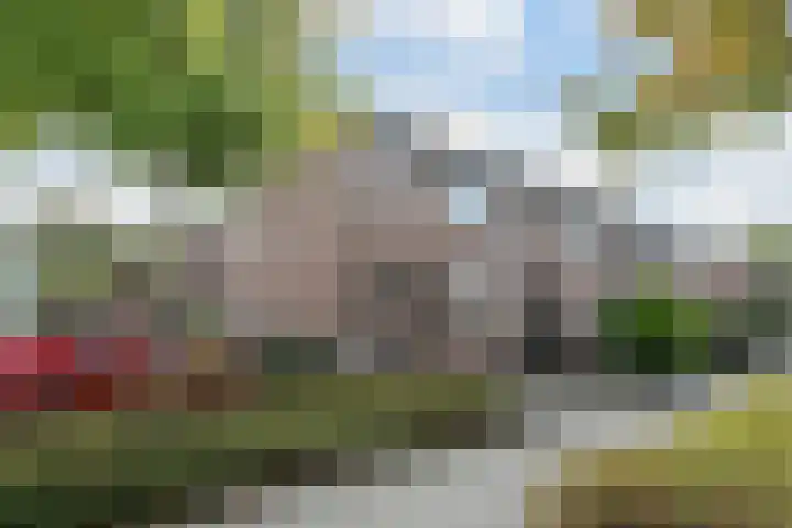 Wildbaan 17 Etten-Leur thumbnail 29