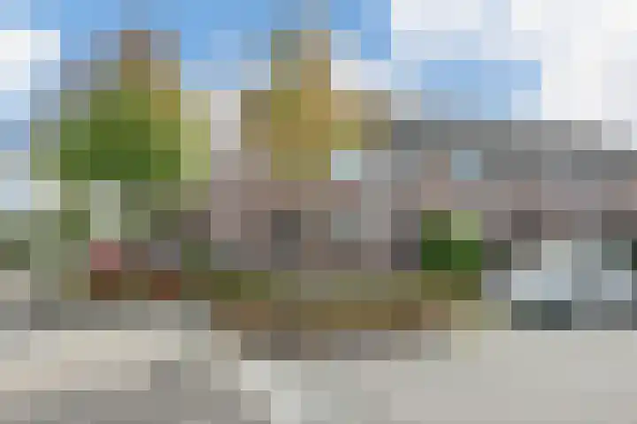 Wildbaan 17 Etten-Leur thumbnail 30