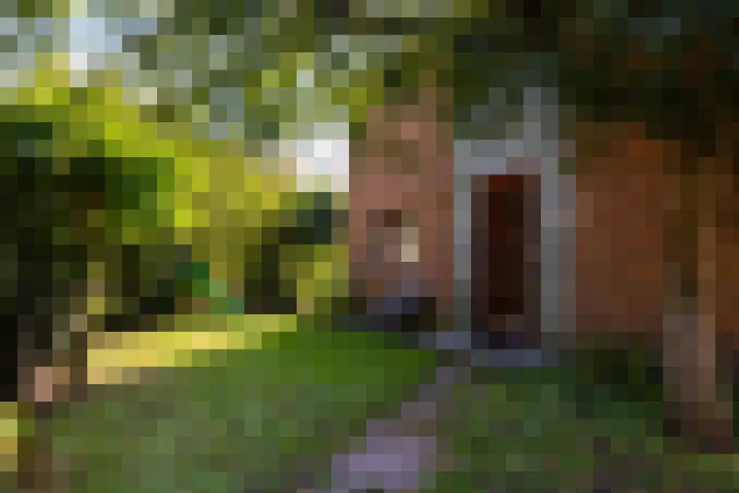 Wildbaan 17 Leersum thumbnail 10