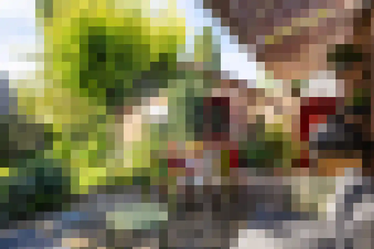 Wildbaan 17 Leersum thumbnail 23