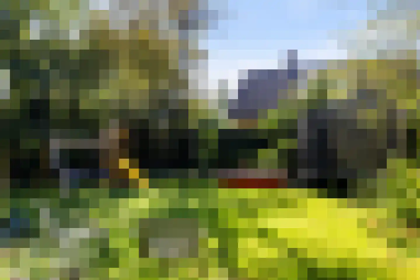 Wildbaan 17 Leersum thumbnail 25