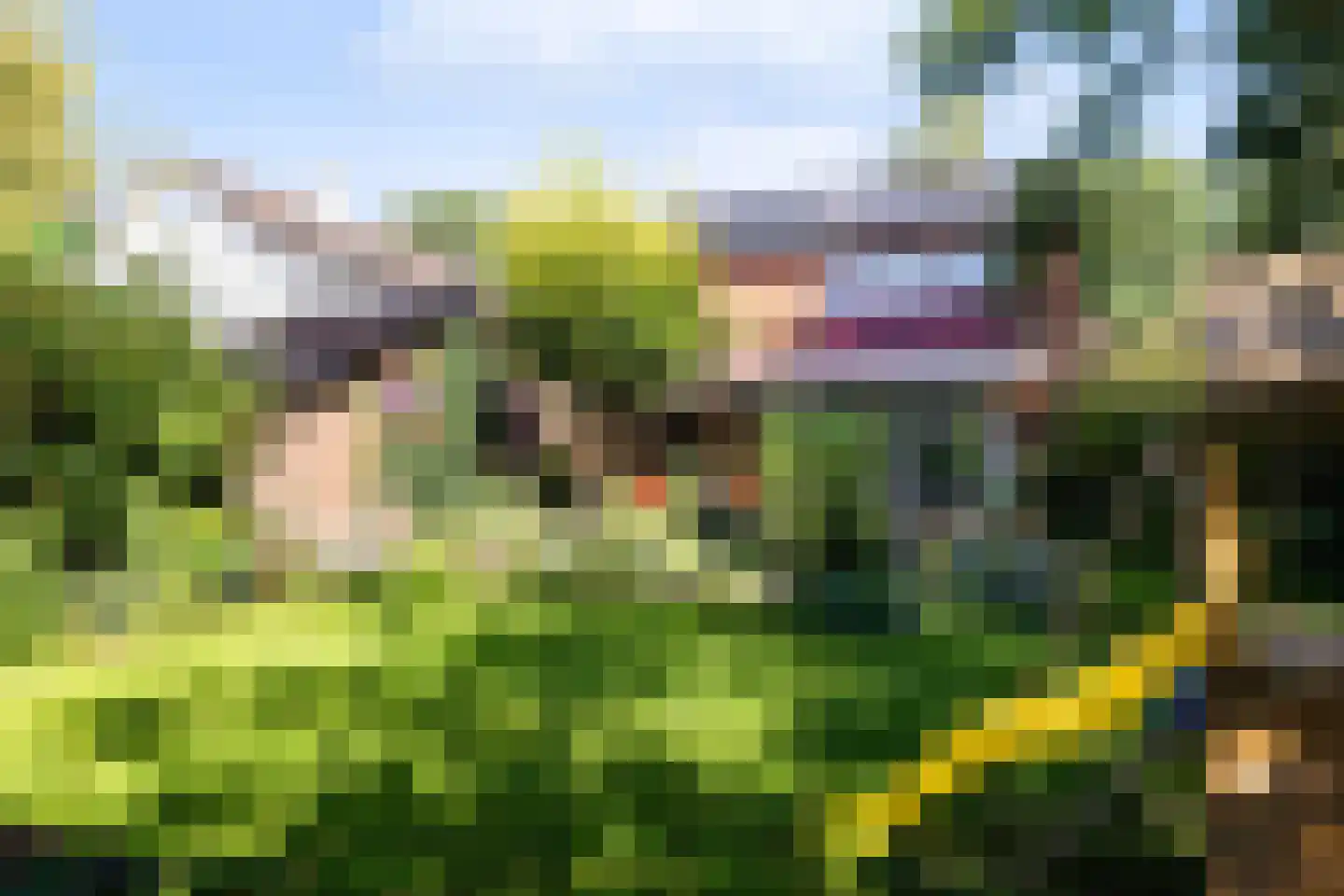 Wildbaan 17 Leersum thumbnail 26