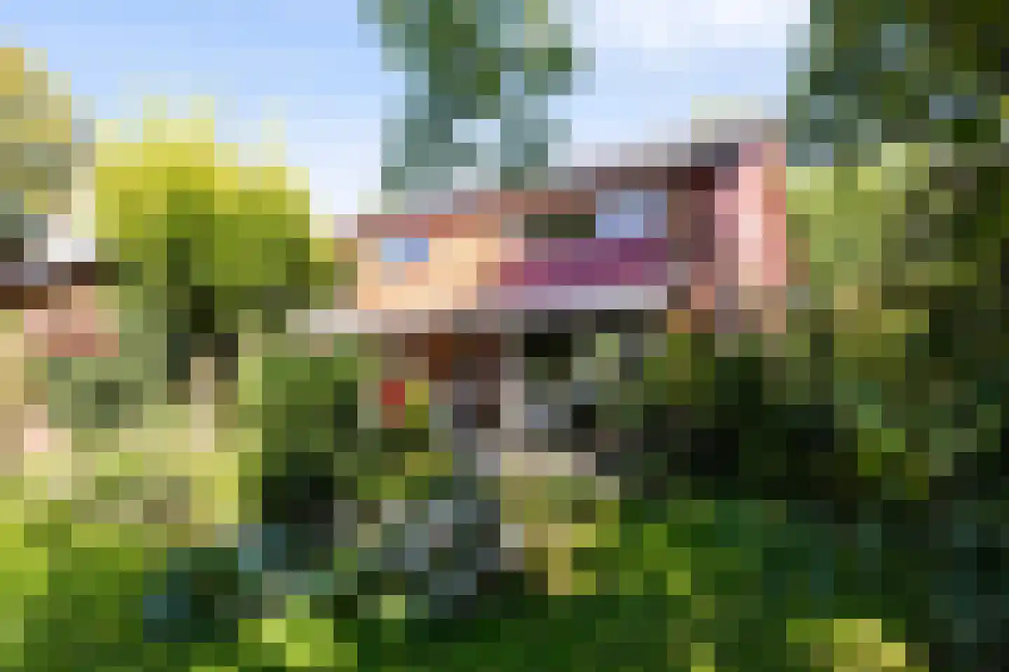 Wildbaan 17 Leersum thumbnail 27